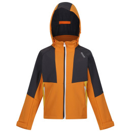 Veste enfant Regatta Haydenbury orange Orange Pepper/Seal Grey