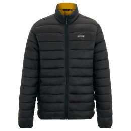 Veste matelassée pour homme Regatta Marizion noir / brun Blk(WoodBrn)