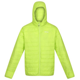 Veste d'hiver homme Regatta Hooded Hillpack green Bright Kiwi