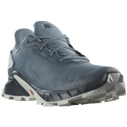 Chaussures de running hommes Salomon Alphacross 4 Gore-Tex bleu / gris China Blue / Carbon / Lunar Rock
