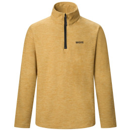 Sweatshirt fonctionnel homme Regatta Thompson Marl