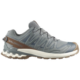 Chaussures homme Salomon Xa Pro 3D V9 Gore-Tex Lifelong
