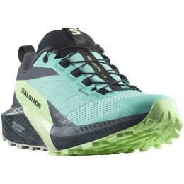 Chaussures de running femme Salomon Sense Ride 5 Gore-Tex bleu / vert Blue Radiance / Green Ash / India Ink