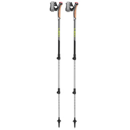 Bâtons de marche nordique Leki Poles Traveller Alu gris / vert black-silvergray-neonyellow