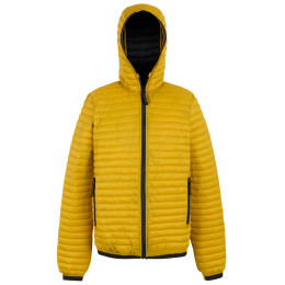 Veste homme Regatta Rigain