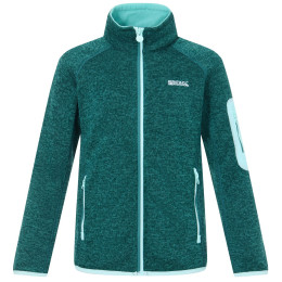 Sweatshirt enfant Regatta Junior Newhill DrkForGlacGr vert DrkForGlacGr