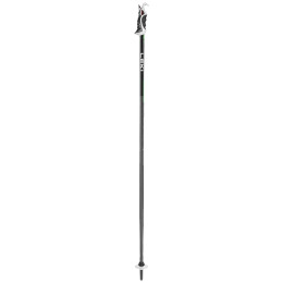 Bâtons ski Leki Bold Lite S vert clair / noir dark anthracite-black-neongreen