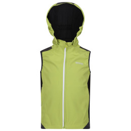 Gilet enfant Regatta Acidity B/W green GrnAlg/SlGry