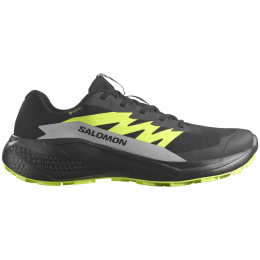 Chaussures de running hommes Salomon Alphaglide Gore-Tex