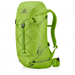 Sac à dos Gregory Alpinisto 38 LT green LichenGreen