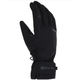 Gants de ski hommes Viking Revo GTX Ski noir black