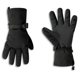 Gants ski Dare 2b Pinnacle Glove noir Black