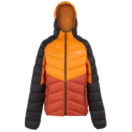 Veste homme Regatta Hooded Dalent rouge / orange Fox/RedOchre