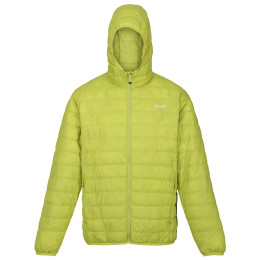 Veste d'hiver homme Regatta Hooded Hillpack vert foncé Green Algae