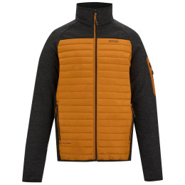 Veste homme Regatta Ceden Hybrid brun PumpkSp/Blk