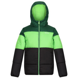 Veste enfant Regatta Lofthouse VII vert / noir Eden/Jasmine Green