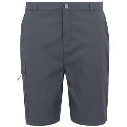 Short homme Regatta Dalry Short girs Seal Grey