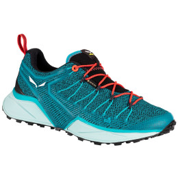 Chaussures femme Salewa Ws Dropline Gtx bleue