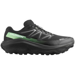 Chaussures homme Salomon Ultra Flow 2 Gore-Tex