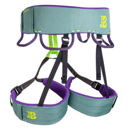 Harnais Beal Trinity vert Green