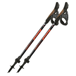 Bâtons de marche nordique Fizan R-Evolution Pro
