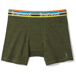 Caleçons fonctionnels homme Smartwool M Merino Sport 150 Boxer Brief Boxed green MossGreenHeather
