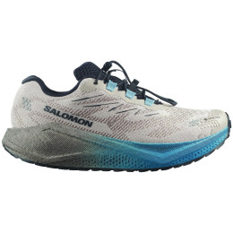 Chaussures homme Salomon Aero Blaze 4 Grvl Gtx