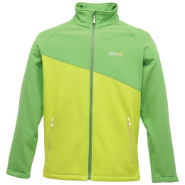 Veste homme Regatta Nebraska Softshell green