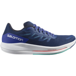 Chaussures de running hommes Salomon Spectur bleu foncé estate blue
