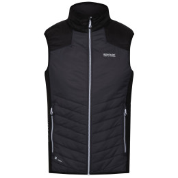 Gilet homme Regatta Halton B/W VI vert DkGrey/Black
