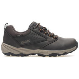 Chaussures homme Regatta Amble Low WP brun Peat/Tan