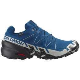 Chaussures de running hommes Salomon Speedcross 6 Gore-Tex