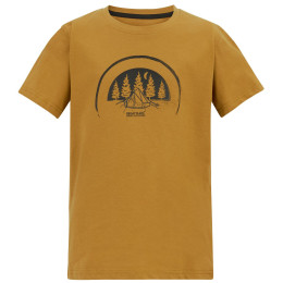 T-shirt enfant Regatta Bosley Wood Brown brun Wood Brown
