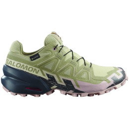 Chaussures femme Salomon Speedcross 6 Gore-Tex