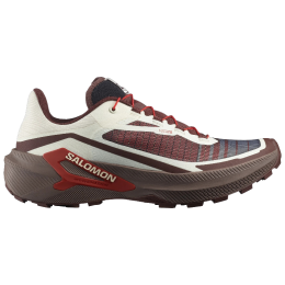 Chaussures de running hommes Salomon Genesis 2