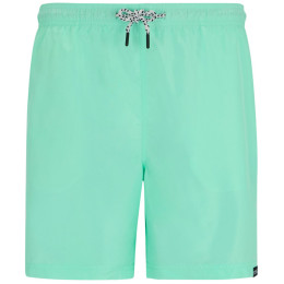 Shorts homme Regatta Mackleyna Swim Short