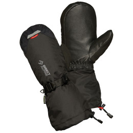 Gants Direct Alpine Thermo Mitt vert Black