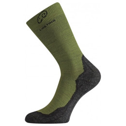 Chaussettes Lasting WHI 699 green Green