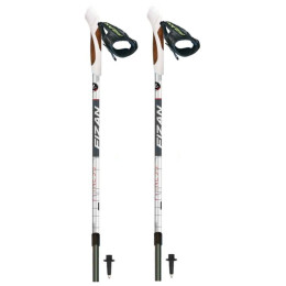 Bâton Fizan NW Fitness gris / noir