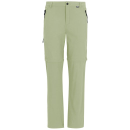 Pantalon homme Regatta Anti-Insect Travel Light Cargo vert clair Light Sage