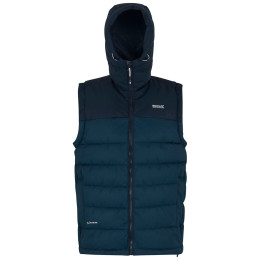 Gilet homme Regatta Aldthorn B/W bleu MnlgtDen/Nvy