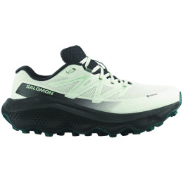 Chaussures running femme Salomon Ultra Flow 2 Gore-Tex