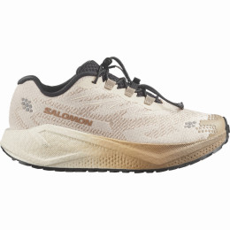 Chaussures running femme Salomon Aero Blaze 4 Grvl W