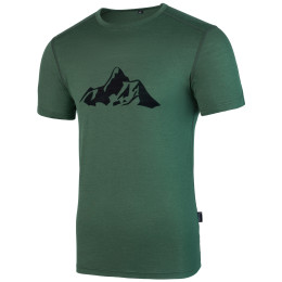 T-shirt homme Warg Merino Mountain 165 Short green Green