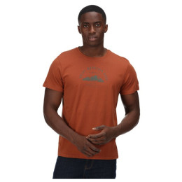 T-shirt homme Regatta Cline VI orange Gingerbread