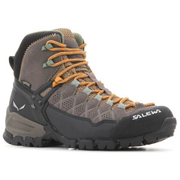 Chaussures femme Salewa WS Alp Trainer MID GTX