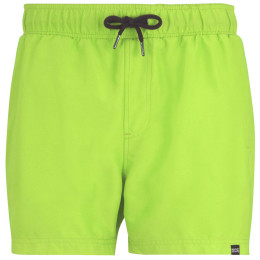 Maillot de bain homme Regatta Mawson Swim Shorts III