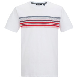 T-shirt homme Regatta Rendro blanc White
