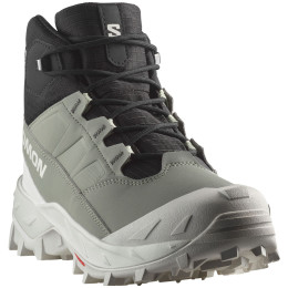 Chaussures femme Salomon Crosstrak Waterproof