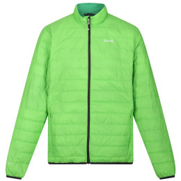 Veste homme Regatta Hillpack green Jasmine Green (Field Green)